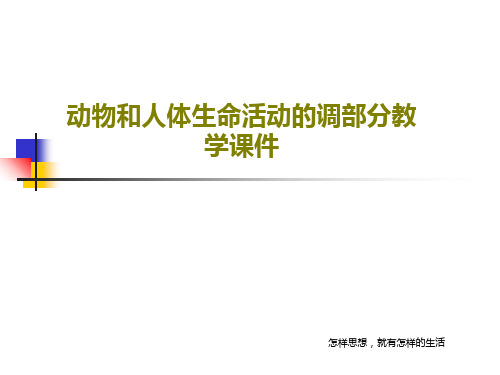 动物和人体生命活动的调部分教学课件22页文档