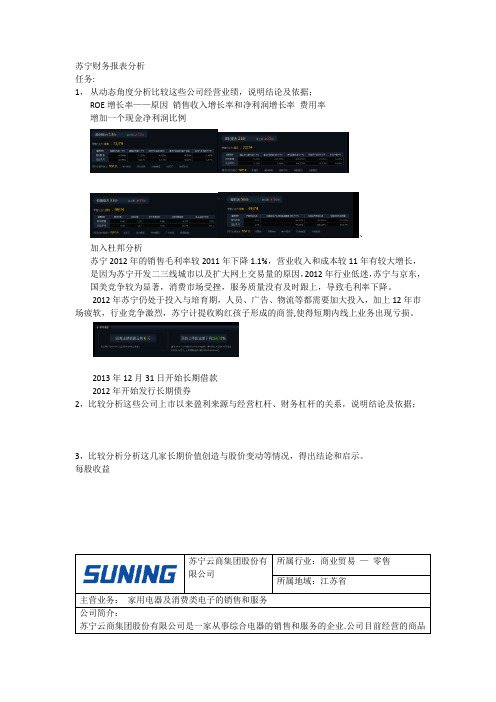 苏宁财务报表分析