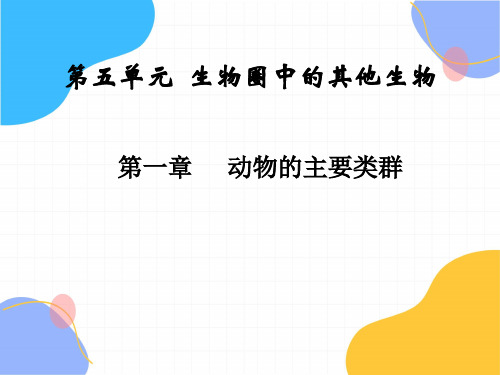 生物人教版八年级(上册)第一节_腔肠动物和扁形动物(2024版新教材)