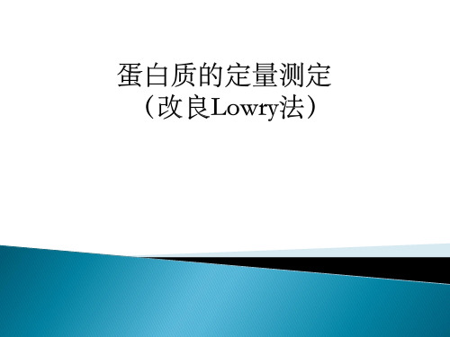 实验一 蛋白质的定量测定 Lowry法