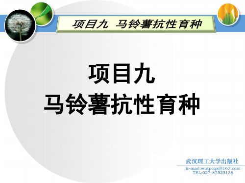 30.项目九 马铃薯抗性育种