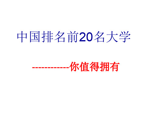 中国前20名大学分析48页PPT文档