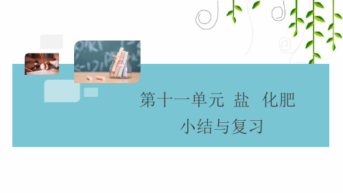 2021年九年级化学下册第十一单元复习课件课件