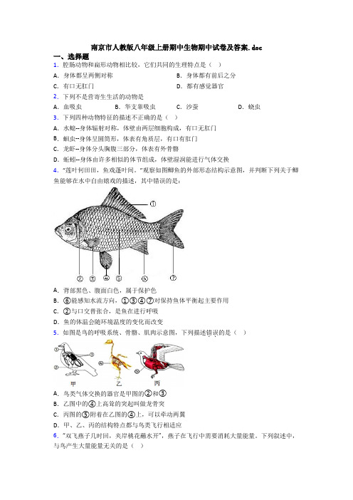 南京市人教版八年级上册期中生物期中试卷及答案.doc