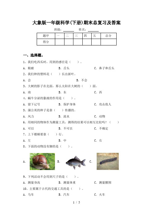 大象版一年级科学(下册)期末总复习及答案