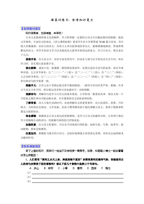 小学语文毕业班总复习《语基训练6：古诗知识》