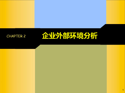 企业外部环境分析与案例(ppt 64页)