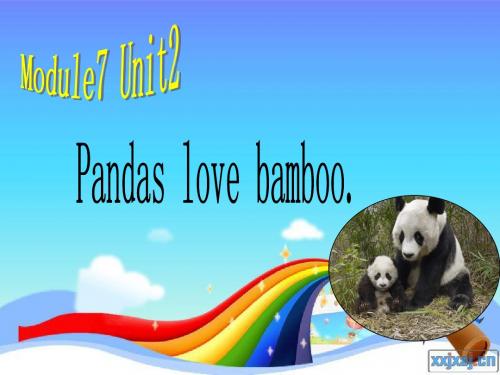 外研版(三起)六年级英语上册Module 7 Unit 2 Pandas love bamboo》公开课课件