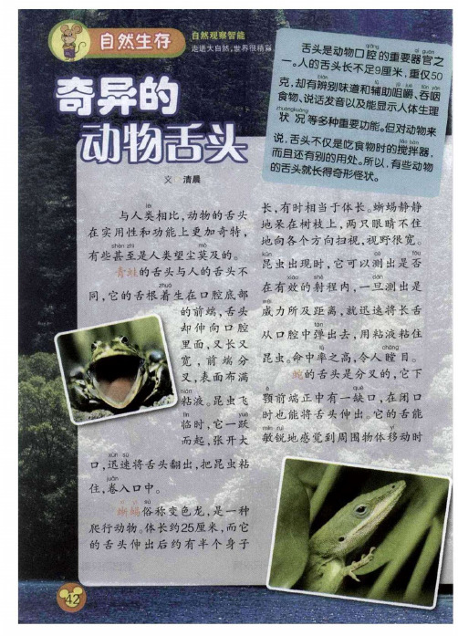 奇异的动物舌头