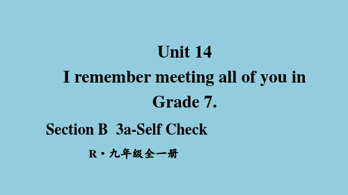 Unit 14 I remember meeting all of yo课件人教版九年级英语全册