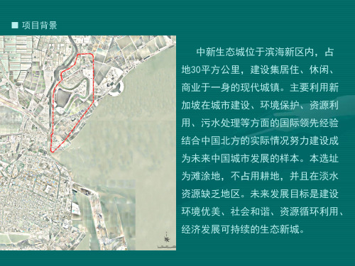 2008中新生态城研究框架报告