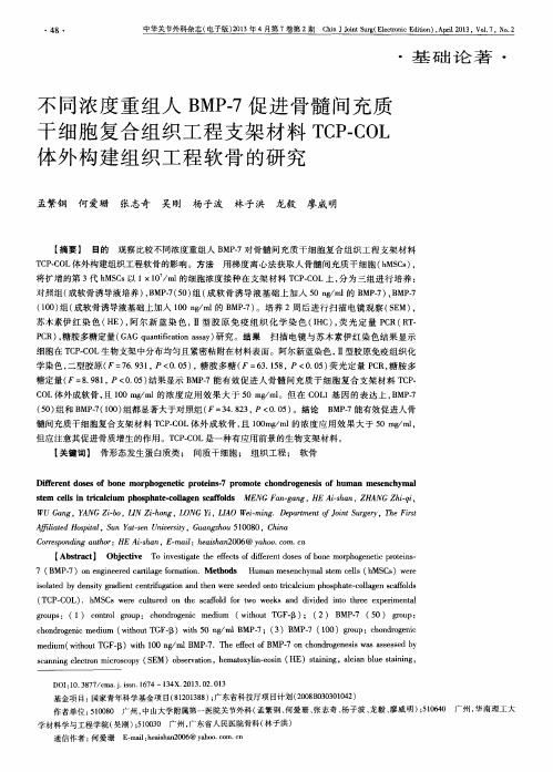 不同浓度重组人BMP-7促进骨髓间充质干细胞复合组织工程支架材料TCP-COL体外构建组织工程软骨的研究