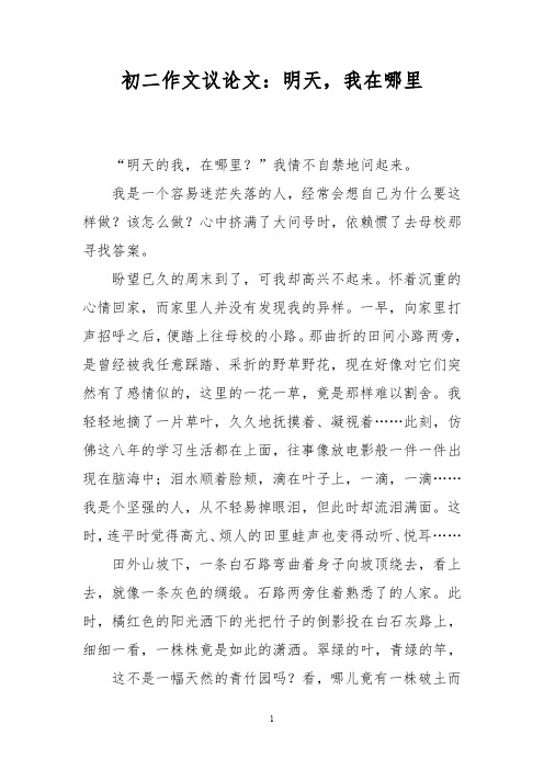 初二作文议论文:明天,我在哪里
