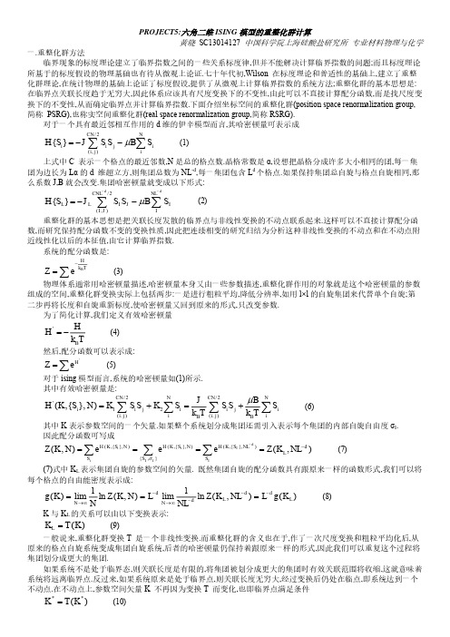 中科大研究生课程 高等固体物理 project 六角二维ising模型的重整化群计算