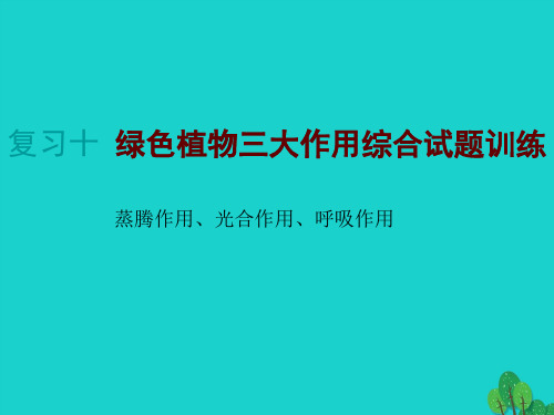 2020年中考生物复习10 《植物体三大作用》