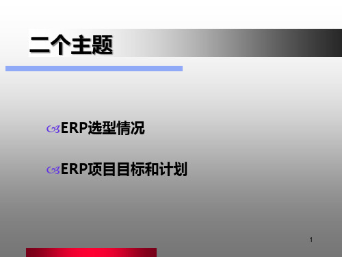 ERP选型报告