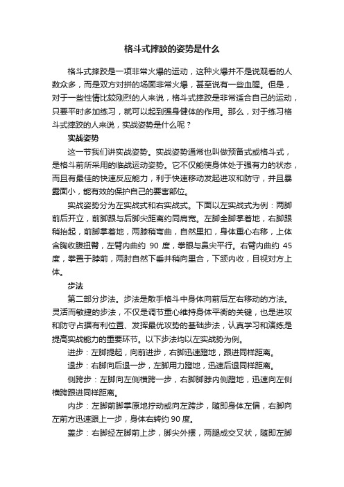 格斗式摔跤的姿势是什么