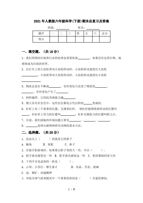 2021年人教版六年级科学(下册)期末总复习及答案