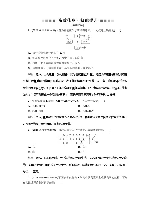 2021版高考生物(人教版)一轮复习高效作业知能提升：第一单元 第3讲 生命活动的主要承担者——蛋白质 Wo