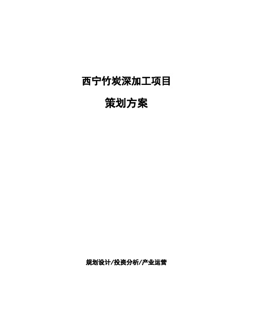 西宁竹炭深加工项目策划方案