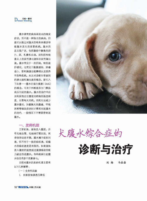 犬腹水综合症的诊断与治疗