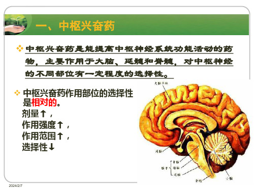 中枢兴奋药及利尿药ppt课件