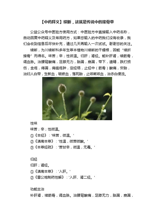 【中药释义】续断，这就是传说中的接骨草