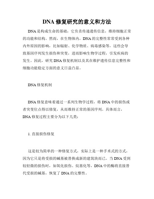 DNA修复研究的意义和方法