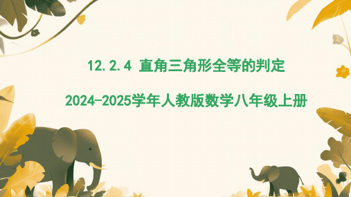 12.2.4直角三角形全等的判定 课件  2024—2025学年人教版数学八年级上册