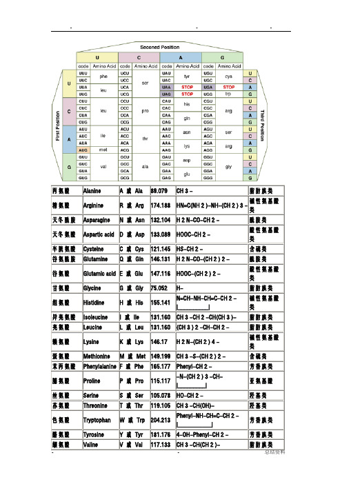 氨基酸密码子对照表