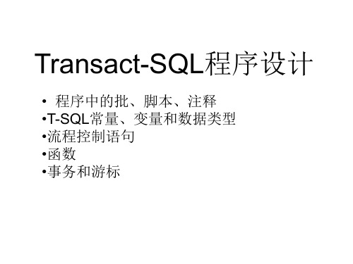 T-SQL程序设计