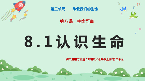 8.1《认识生命》 课件(共22张PPT) 2024-2025学年七年级道德与法治上册  统编版