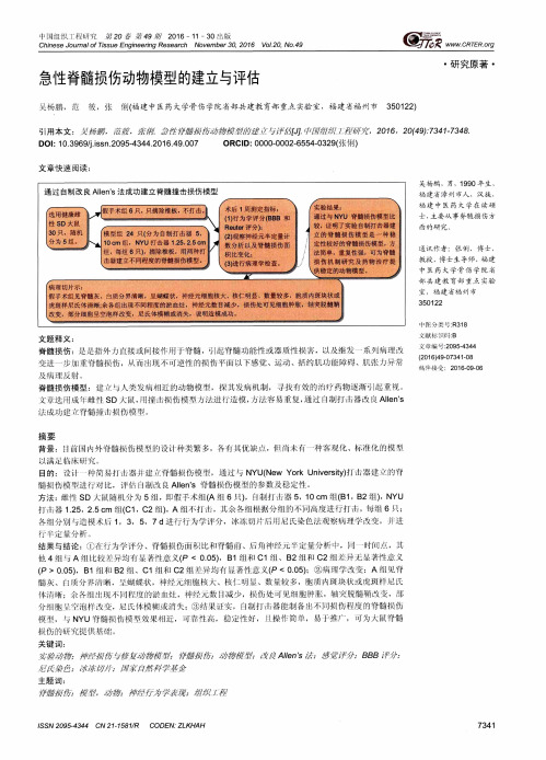 急性脊髓损伤动物模型的建立与评估