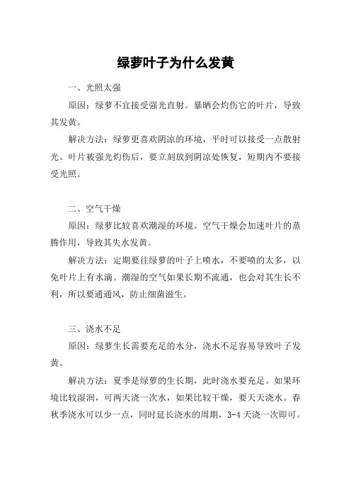 绿萝叶子为什么发黄