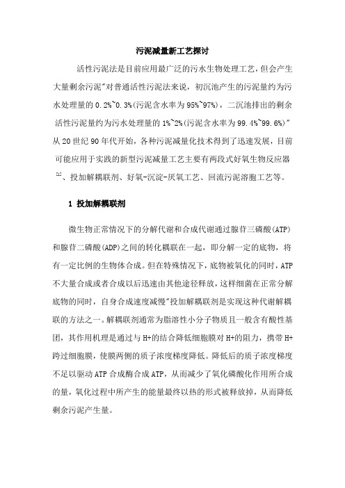 污泥减量新工艺探讨