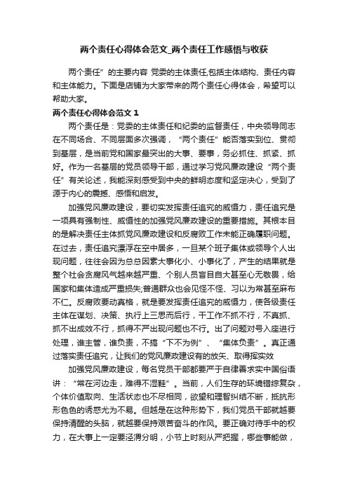 两个责任心得体会范文_两个责任工作感悟与收获