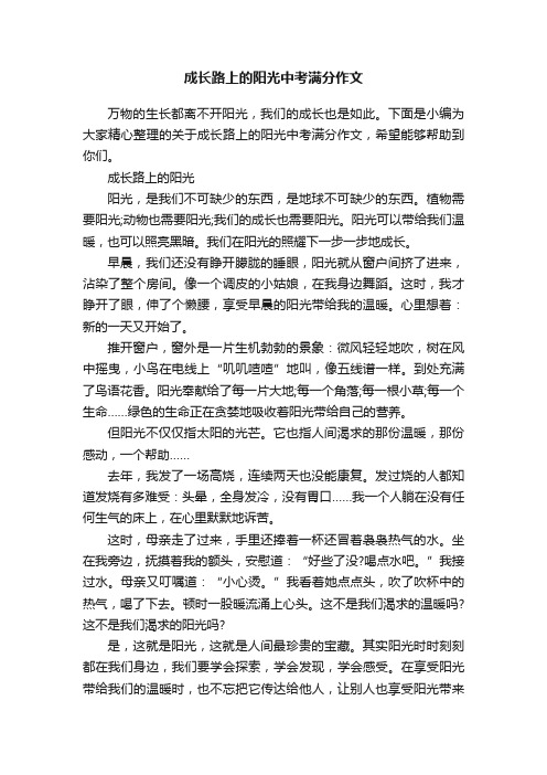 成长路上的阳光中考满分作文