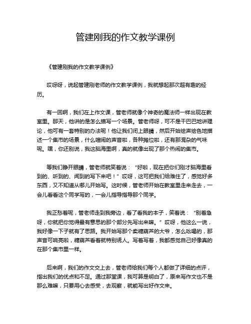 管建刚我的教学课例的经典作文