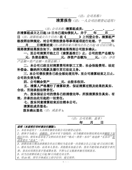 一人有限公司清算报告