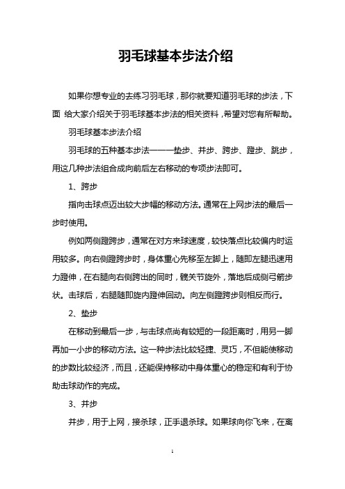 羽毛球基本步法介绍