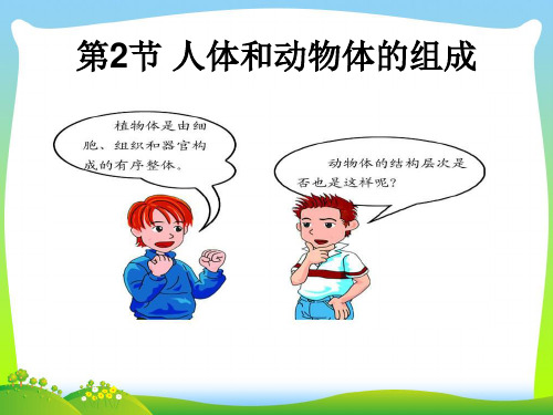 人体和动物体的组成-课件