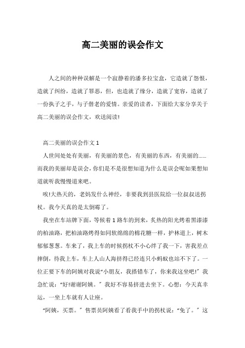 (高二)高二美丽的误会作文