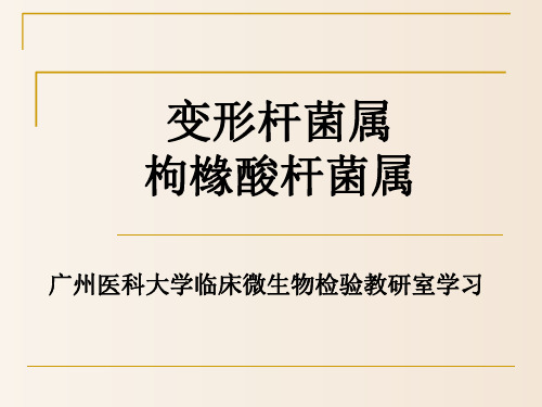 【临床微生物实验】_变形杆菌属 枸橼酸杆菌属