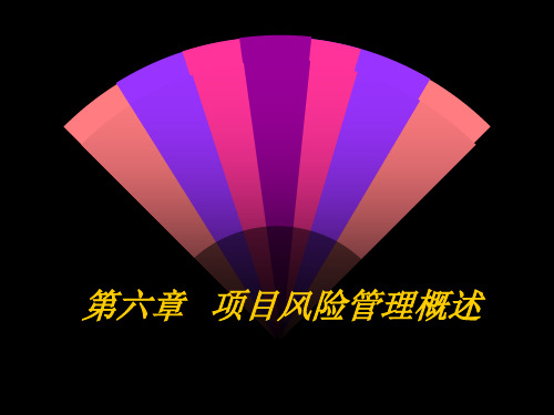 项目风险概述(PPT45页)