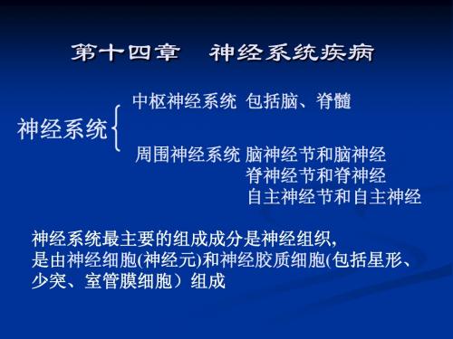 病理学 14神经系统