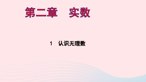 八年级数学上册第二章实数1认识无理数ppt作业课件新版北师大版