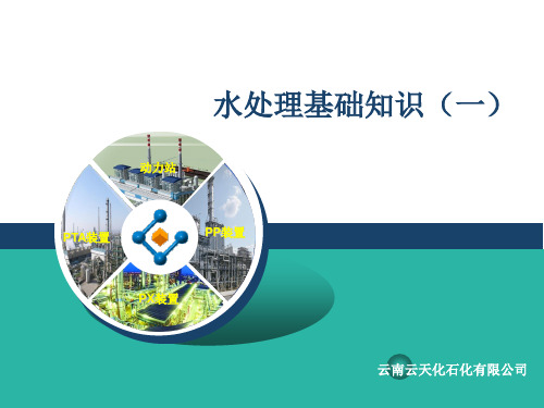 2.脱盐水基础知识一.脱盐水概念