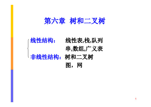 数据结构 二叉树课件