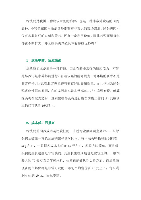 养鸭经验:绿头鸭的养殖优势