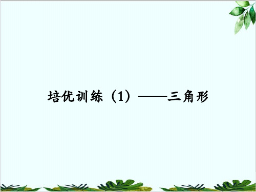 培优训练——三角形人教版八年级数学上册